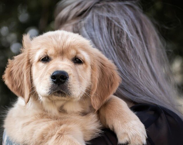 dog-girl1.jpg